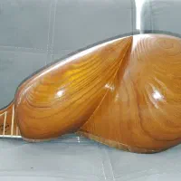 تار دومهر طاووسی