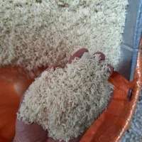 برنج هاشمی