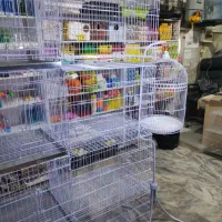 قفس جفتگاه کبوتر 75و60