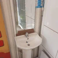 دستشور نو نو به همراه شیر و شینگ..