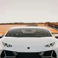 وانت