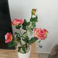گلدان های زیبا