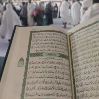 فیش عمره