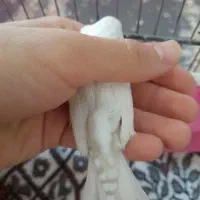 فنچ نر