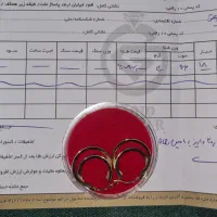گوشواره طلا ۲ حلقه