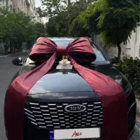 X33 کراس