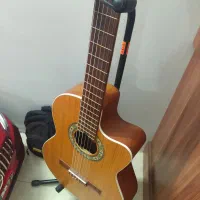 گیتار پارسی m5 cut سیم داداریو کیف پایه