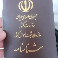 شناسنامه پیداشده