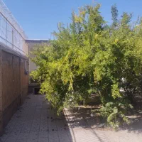 خانه-کلنگی-پروانه-دو-طبقه