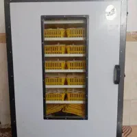 تخم دستگاه میذارم