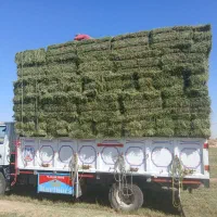 یونجه پرس و کاه یونجه
