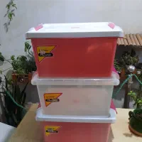 نظم دهنده جانانی