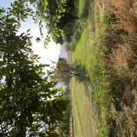 زمین-کشاورزی