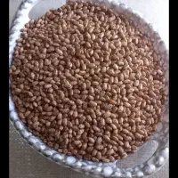 لوبیا چیتی