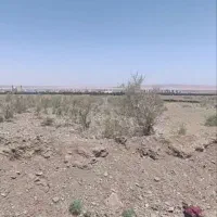 زمین-جوانی-جمعیت-اشتهارد