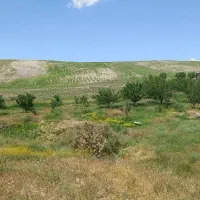 باغ-واقع-در-شهرستان-زنجان-3هکتار