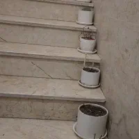 گل و گلدان