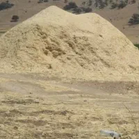 کاه گندم