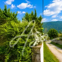 456 متر زمین*بافت مسکونی*سند6دانگ چلک