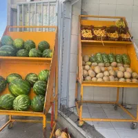 ممبری میوه فروشی