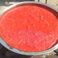 رب خانگی