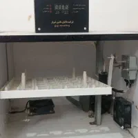 دستگاه جوجه کشی