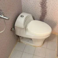 توالت فرنگی آرتا
