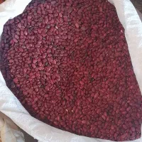 فروش کشمش وحبوبات