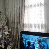 پرده در حد نو