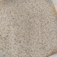 برنج طارم هاشمی درجه یک شمال