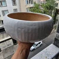 تعدادی گلدان