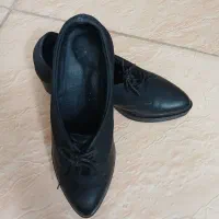 کیف و کفش|کیف، کفش، کمربند|بیرجند, |دیوار