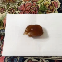 سنگ عقیق عسلی