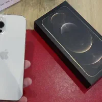 ایفون ۱۲ پرومکس ۲ سیمکارت ۲۵۶ گیگ