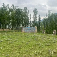 زمین