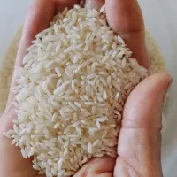 فروش عمده برنج عنبربو اقتصادی با قیمت ویژه