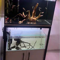 آکواریم ریملس