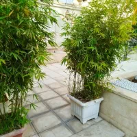 نیازمند خانم میانسال جهت کار در منزل