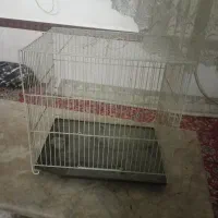 قفس پرنده