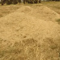 فروش کاه سفید