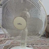 پنکه