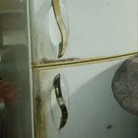یخقال فریزر
