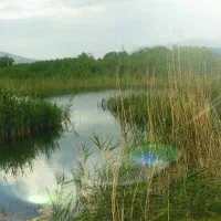 زمین خانه مغازه باغ
