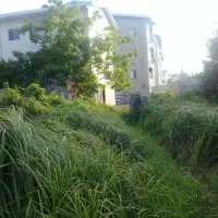 زمین۲۱۸مترمربع
