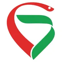 استخدام