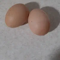 تخم مرغ آمروک