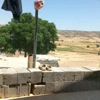 با عرض سلام ۸ هکتار زمین کشاورزی بفروش میرسد