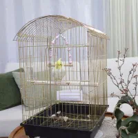 عروس هلندی باقفس شیک