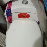 سرویس بهداشتی