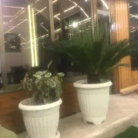 اجاره مغازه در بهترین لوکیشن پاخور عالی